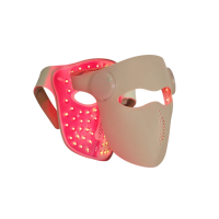 Skin Rejuvenation Mask